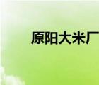 原陽大米廠家電話（原陽大米官網(wǎng)）