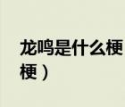 龍鳴是什么梗 龍鳴是什么意思（龍鳴是什么梗）