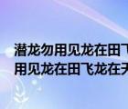 潛龍勿用見龍在田飛龍在天亢龍有悔的意思是什么（潛龍勿用見龍在田飛龍在天亢龍有悔）