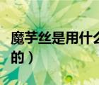 魔芋絲是用什么做成的（魔芋絲是什么材料做的）