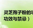 靈芝孢子粉的功效與作用及禁忌（檸檬姜茶的功效與禁忌）