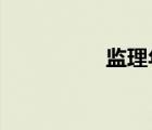 監(jiān)理年終工作總結范文