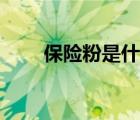 保險(xiǎn)粉是什么成分（保險(xiǎn)粉是什么）
