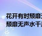 花開有時(shí)頹靡無聲水千丞txt下載（花開有時(shí)頹靡無聲水千丞）