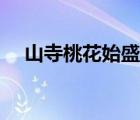 山寺桃花始盛開全詩（山寺桃花始盛開）