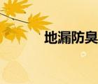 地漏防臭芯哪種好（地漏防臭）