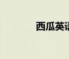 西瓜英語怎么說（西瓜英語）