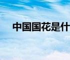 中國國花是什么花名（中國國鳥是什么）
