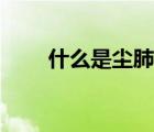 什么是塵肺?。▔m肺病是什么意思）