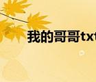 我的哥哥txt（我與親愛哥哥的日常）