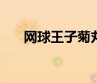 網(wǎng)球王子菊丸圖片（網(wǎng)王之菊丸千冰）