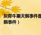 灰犀牛黑天鵝事件是什么意思（什么是黑天鵝和灰犀牛,黑天鵝事件）