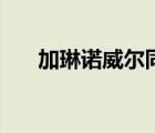 加琳諾威爾同人文小說（加琳諾威爾）