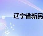 遼寧省新民市地圖（遼寧省新民市）