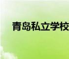 青島私立學(xué)校教師招聘（青島私立學(xué)校）