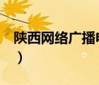 陜西網(wǎng)絡(luò)廣播電視臺（陜西電視臺7奪寶秦兵）