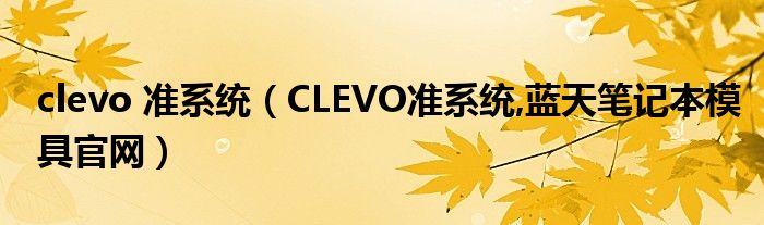 clevo 準(zhǔn)系統(tǒng)（CLEVO準(zhǔn)系統(tǒng),藍(lán)天筆記本模具官網(wǎng)）