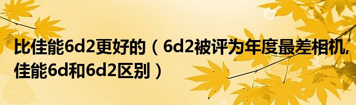 比佳能6d2更好的（6d2被評為年度最差相機,佳能6d和6d2區(qū)別）