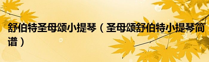 舒伯特圣母頌小提琴（圣母頌舒伯特小提琴簡譜）