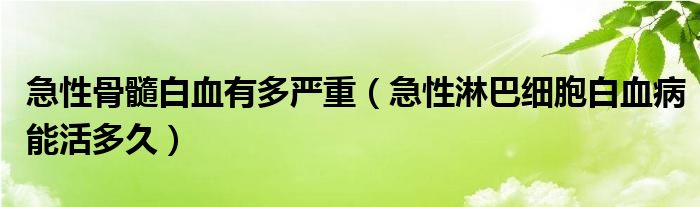 急性骨髓白血有多嚴(yán)重（急性淋巴細(xì)胞白血病能活多久）