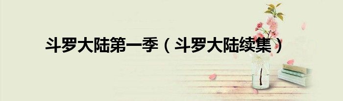 斗羅大陸第一季（斗羅大陸續(xù)集）