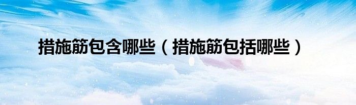 措施筋包含哪些（措施筋包括哪些）