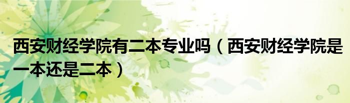 西安財經(jīng)學院有二本專業(yè)嗎（西安財經(jīng)學院是一本還是二本）
