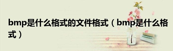 bmp是什么格式的文件格式（bmp是什么格式）