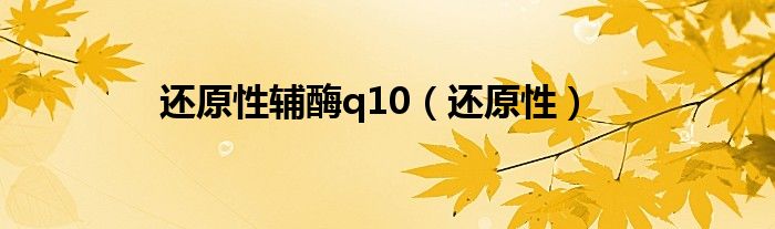 還原性輔酶q10（還原性）