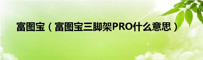 富圖寶（富圖寶三腳架PRO什么意思）