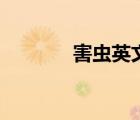 害蟲英文怎么讀（害蟲英文）
