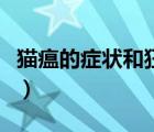 貓瘟的癥狀和狂犬病有明顯區(qū)分（貓瘟的癥狀）