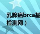 乳腺癌brca基因檢測(cè)（BRCA基因檢測(cè),基因檢測(cè)網(wǎng)）