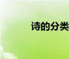 詩的分類按體裁分（詩的分類）