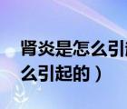 腎炎是怎么引起的 原因有哪些（小兒腎炎怎么引起的）