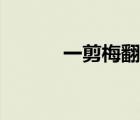 一剪梅翻譯英文（一剪梅翻譯）