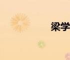 梁學(xué)成排長(zhǎng)（梁學(xué)成）