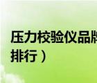 壓力校驗儀品牌排行前十名（壓力校驗儀品牌排行）