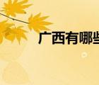 廣西有哪些市區(qū)（廣西有哪些市）