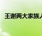 王謝兩大家族人物關(guān)系圖（晉朝王謝家族）