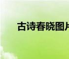 古詩春曉圖片簡筆畫（古詩春曉圖片）