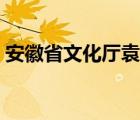 安徽省文化廳袁華簡(jiǎn)歷（安徽省文化廳網(wǎng)站）