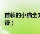 首領(lǐng)的小貓全文閱讀（首領(lǐng)的小貓全文免費(fèi)閱讀）