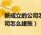 新成立的公司怎么建賬期初余額（新成立的公司怎么建賬）