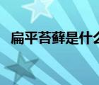 扁平苔蘚是什么病癥（扁平苔蘚是什么病）