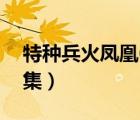 特種兵火鳳凰62全集（特種兵火鳳凰免費(fèi)全集）
