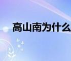 高山南為什么和青山剛昌分手（高山南）