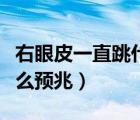 右眼皮一直跳什么預兆男性（右眼皮一直跳什么預兆）