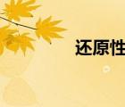 還原性輔酶q10（還原性）