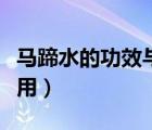 馬蹄水的功效與作用禁忌（馬蹄水的功效與作用）